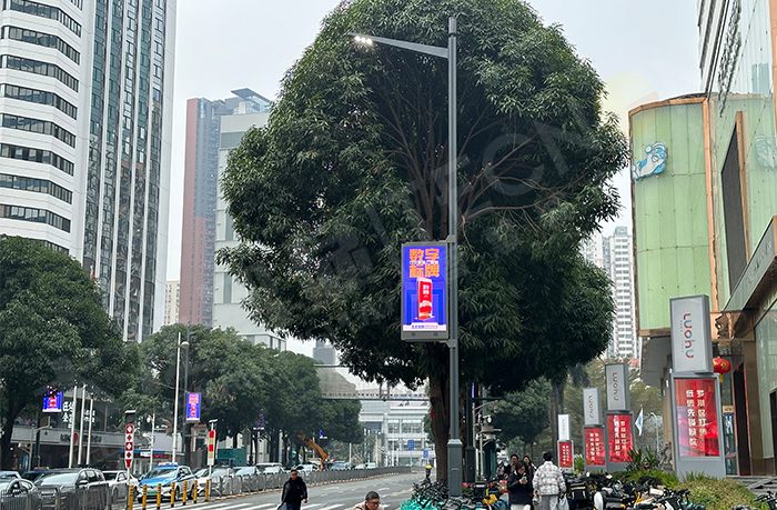 燈桿屏,路邊的屏.png